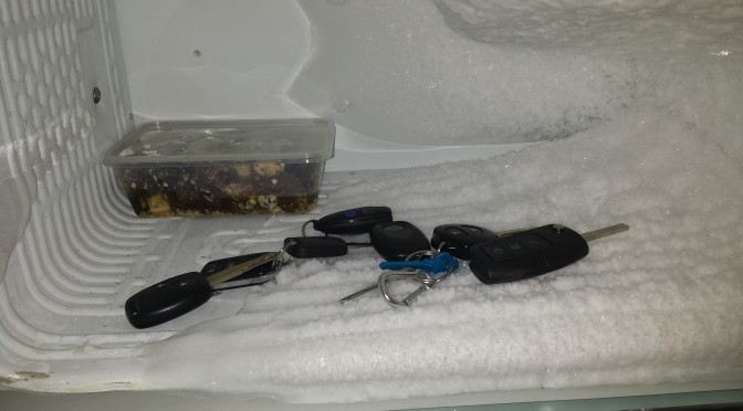 Car keys in freezer